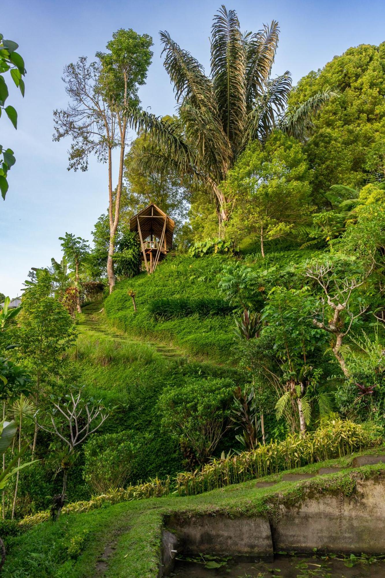 Garden Terrace Bali Gobleg (Bali) Exterior foto