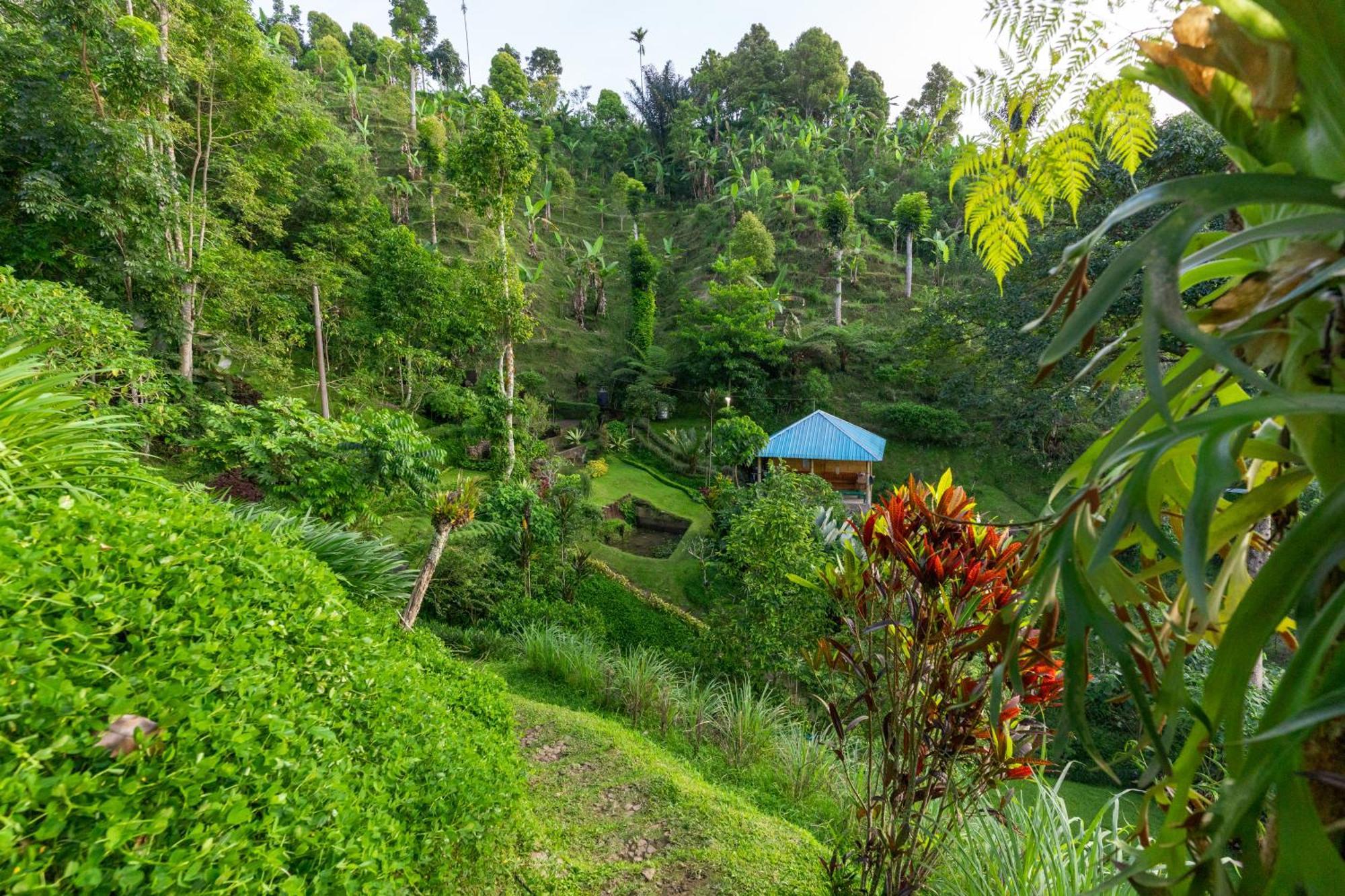 Garden Terrace Bali Gobleg (Bali) Exterior foto